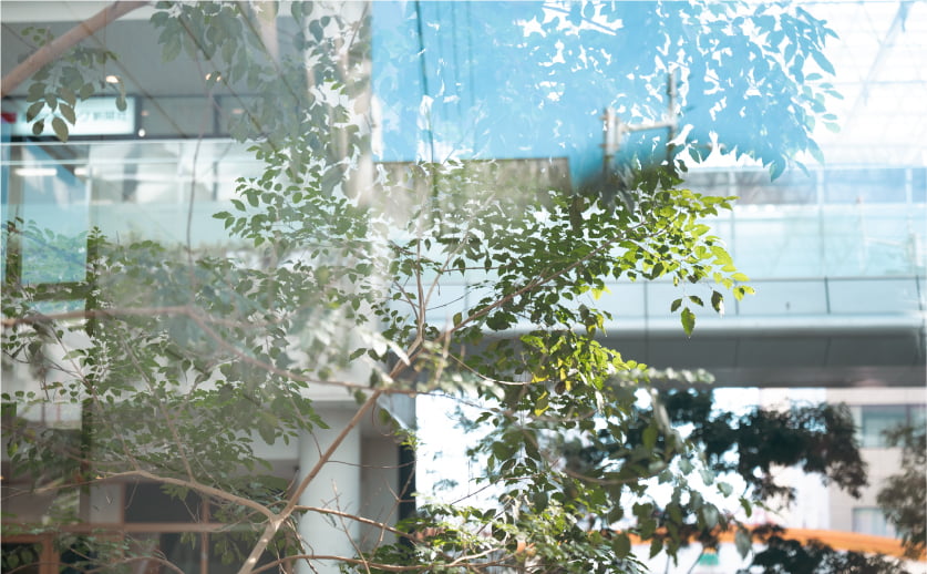 街で会いましょ。